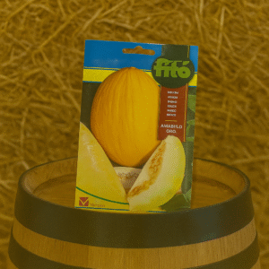 Yellow canary melon seeds Fitó