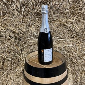 Cava Ecological Organic Blanc Alkimistes M. Bigordà