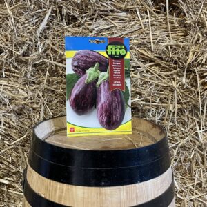 Gandía eggplant seeds