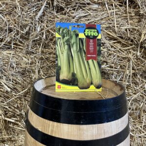 Pascual Fitó green celery seeds