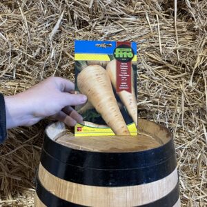 Guernsey Fitó medium long parsnip seeds