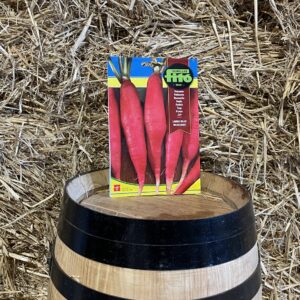 Red long rhubarb seeds Murciano Fitó