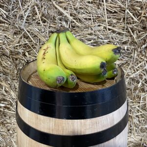 Ullastrell bananas