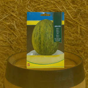 Melon seeds piñonet toad skin Fitó