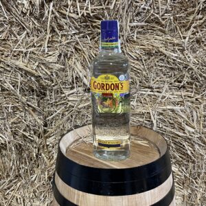 Gordon's London Dry Gin